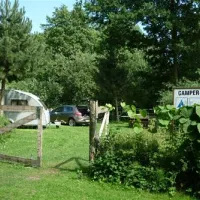 camperstellplatz-negast-negast-v9wdg