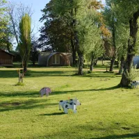 camping-les-tournesols-le-grez-jkwv3