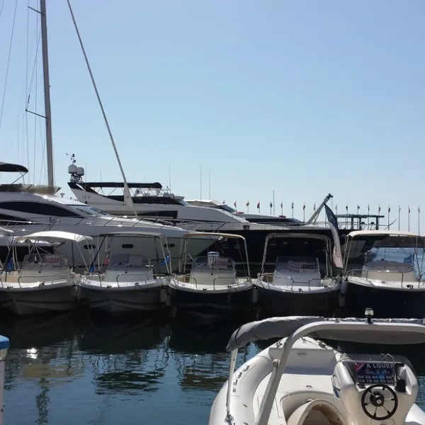 les-pins-maritimes-hyeres-uwerv
