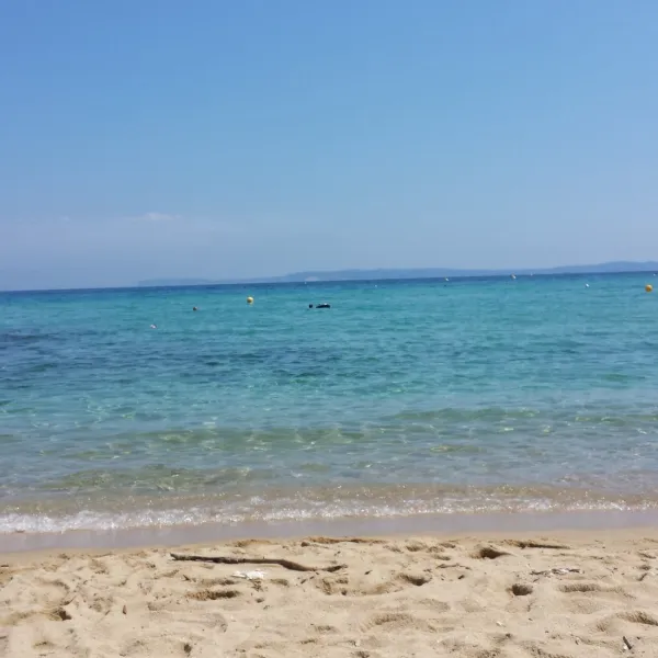 les-pins-maritimes-hyeres-yc3xl