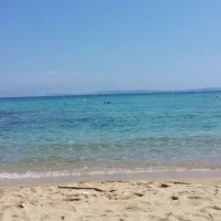 les-pins-maritimes-hyeres-yc3xl