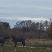Freizeit- und Campingpark Tespe