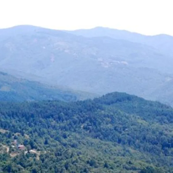 camping-falterona-stia-ewmxo
