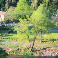 camping-municipal-du-vieux-moulin-peyremale-nzsyz