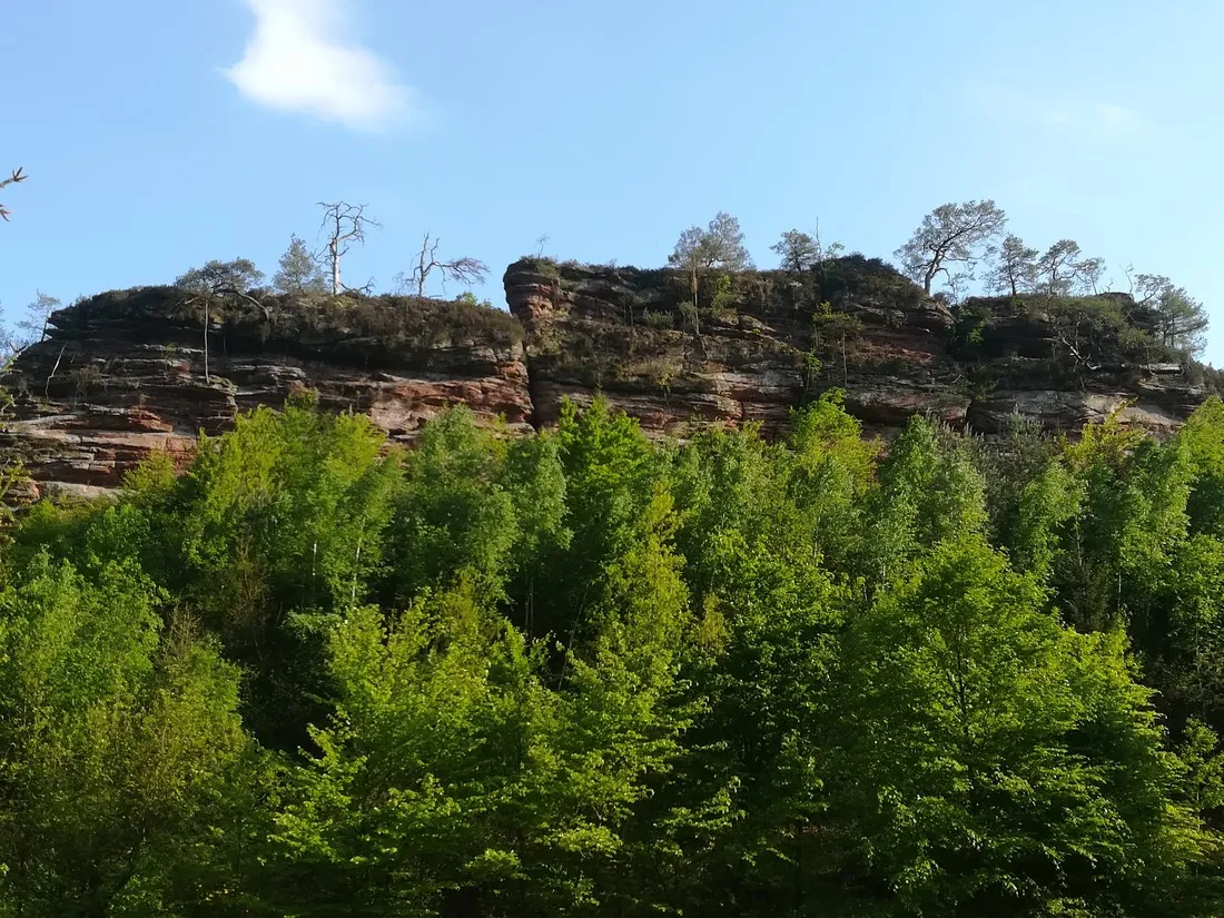 buettelwoog-dahn-gtvff