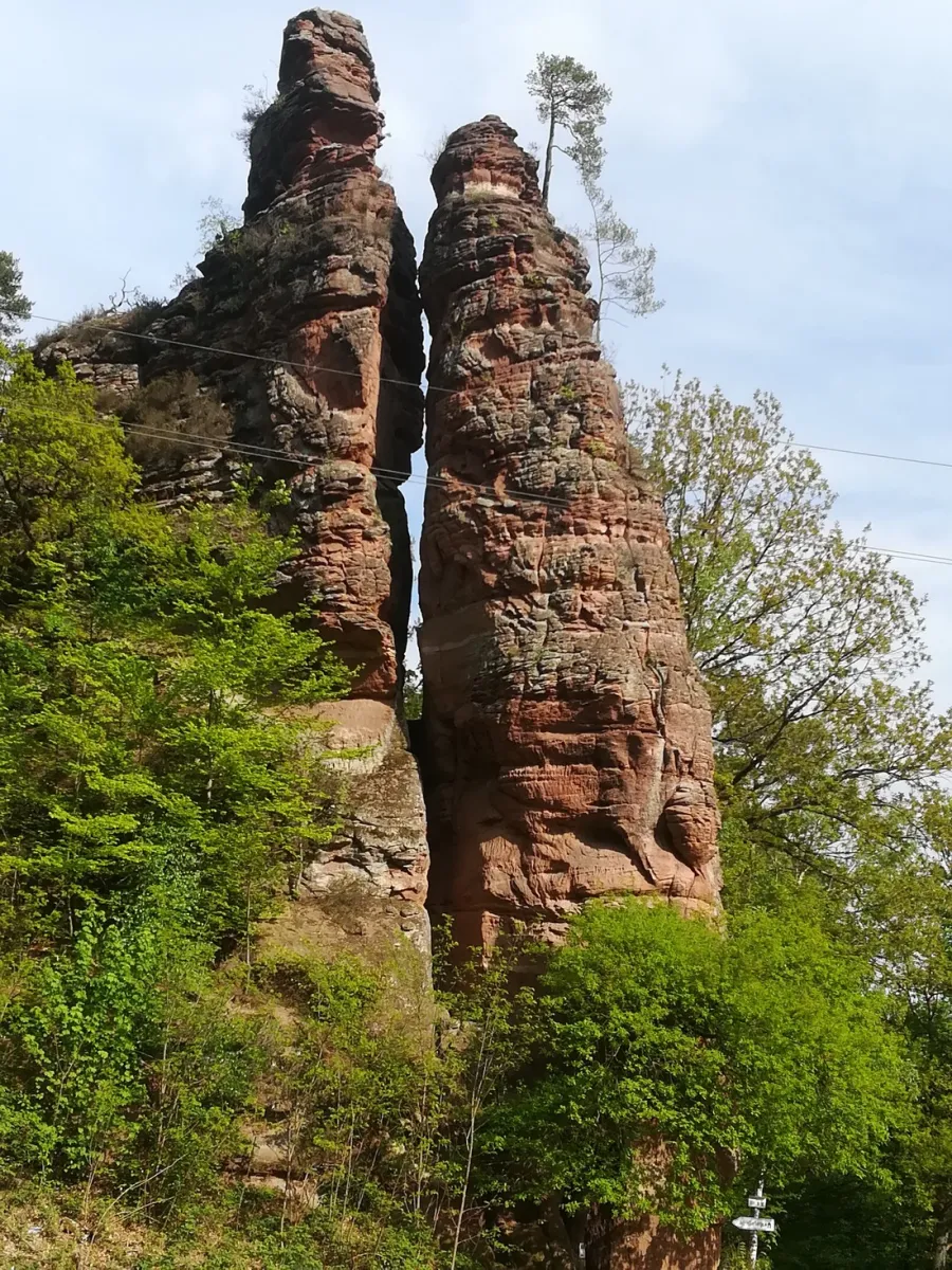 buettelwoog-dahn-reukc