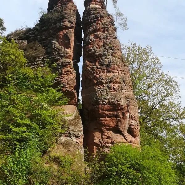 buettelwoog-dahn-reukc