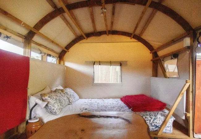 ox-wagons-at-bergrivier-eco-retreat-thornhill-dvaaq