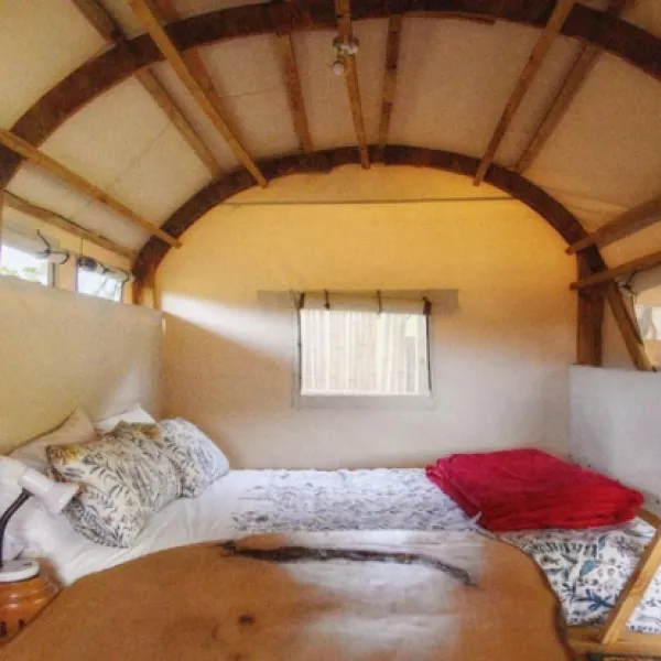 ox-wagons-at-bergrivier-eco-retreat-thornhill-dvaaq