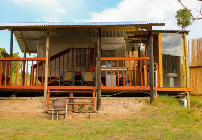 ox-wagons-at-bergrivier-eco-retreat-thornhill-th59i