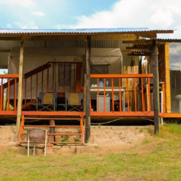 ox-wagons-at-bergrivier-eco-retreat-thornhill-th59i