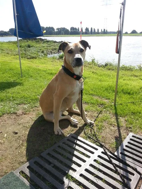 campingplatzrheinblick-monheim-am-rhein-czqxm
