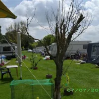 campingplatzrheinblick-monheim-am-rhein-rx7i2