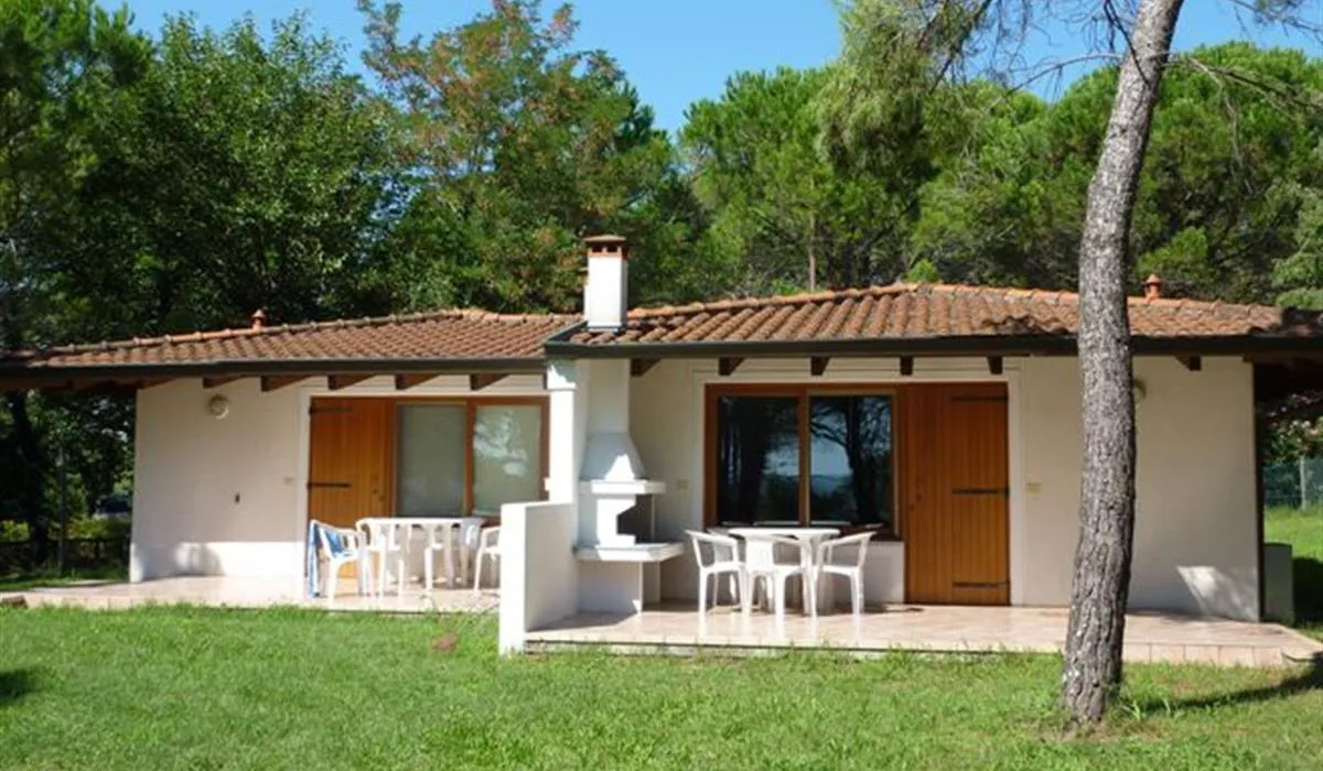 campeggio-belvedere-pineta-belvederegrado-3d0rt