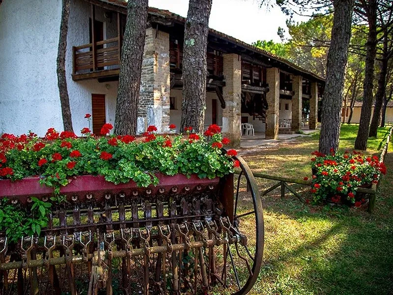 campeggio-belvedere-pineta-belvederegrado-5sulk