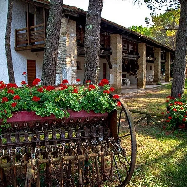 campeggio-belvedere-pineta-belvederegrado-5sulk