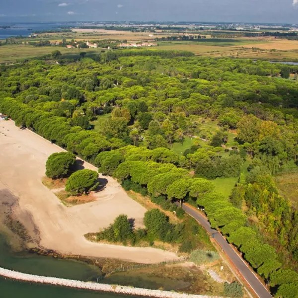 campeggio-belvedere-pineta-belvederegrado-g6soc