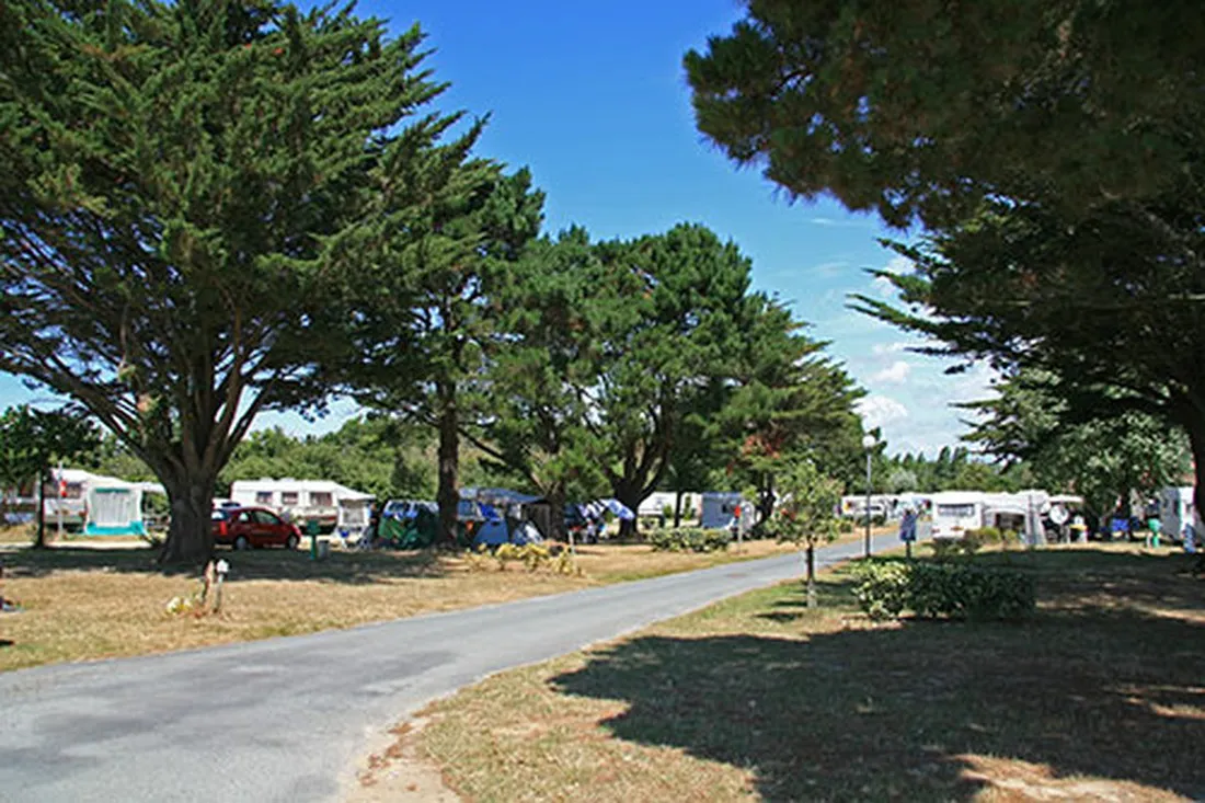 camping-les-marsouins-brtignolles-sur-mer-itpbd