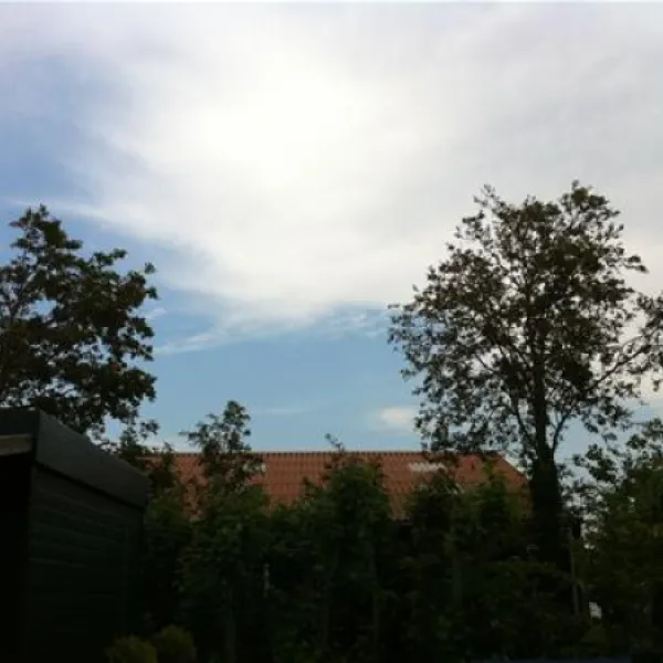 de-phlox-biggekerke-z3jjp