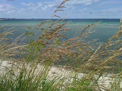 campingplatz-neustein-stein-bei-laboe-ilzuu
