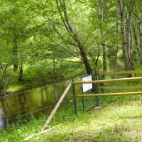 camping-la-blaquiere-la-salvetat-sur-agout-eqigp