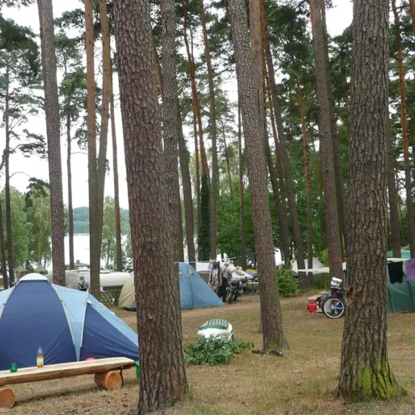 jatour-camping-am-spring-werbellinsee-joachimsthal-dm0nn