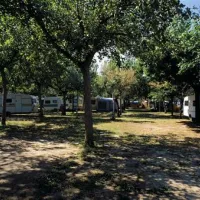 international--camping-torre-cerrano-pineto-oclmm