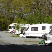 coedyllwyn-caravan-club-site-gellilydan-rwltu