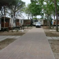 camping-badiaccia-castiglione-del-lago-y7oqu