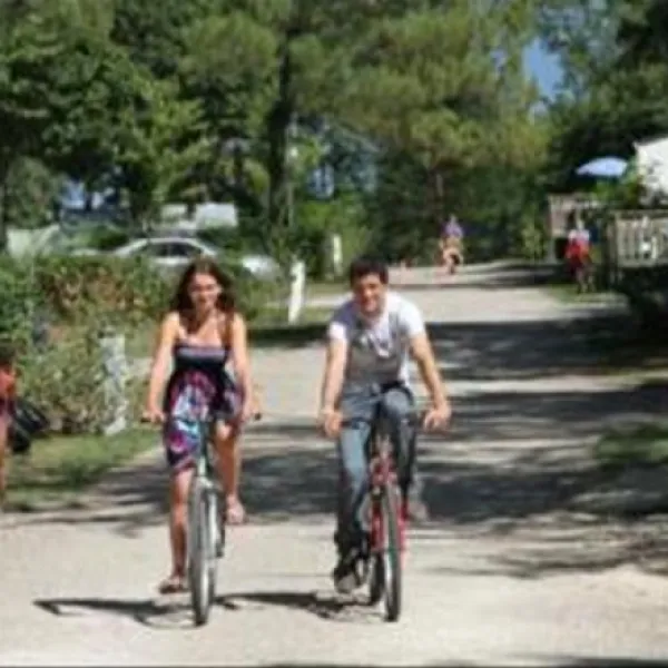 camping-le-pressoir-petit-palais-et-cornemps-vsdlz