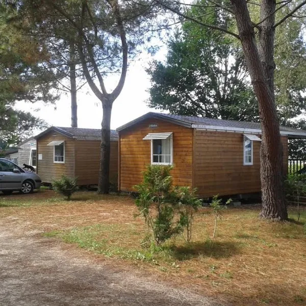 camping-le-pressoir-petit-palais-et-cornemps-wxzxg
