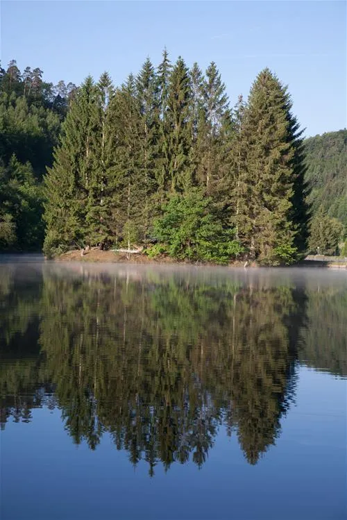 camping-muhlenbach-sturzelbronn-fvrz3