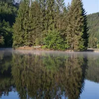 camping-muhlenbach-sturzelbronn-fvrz3