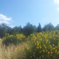 agricampeggio-madonna-di-pogi-bucine-cs5ao