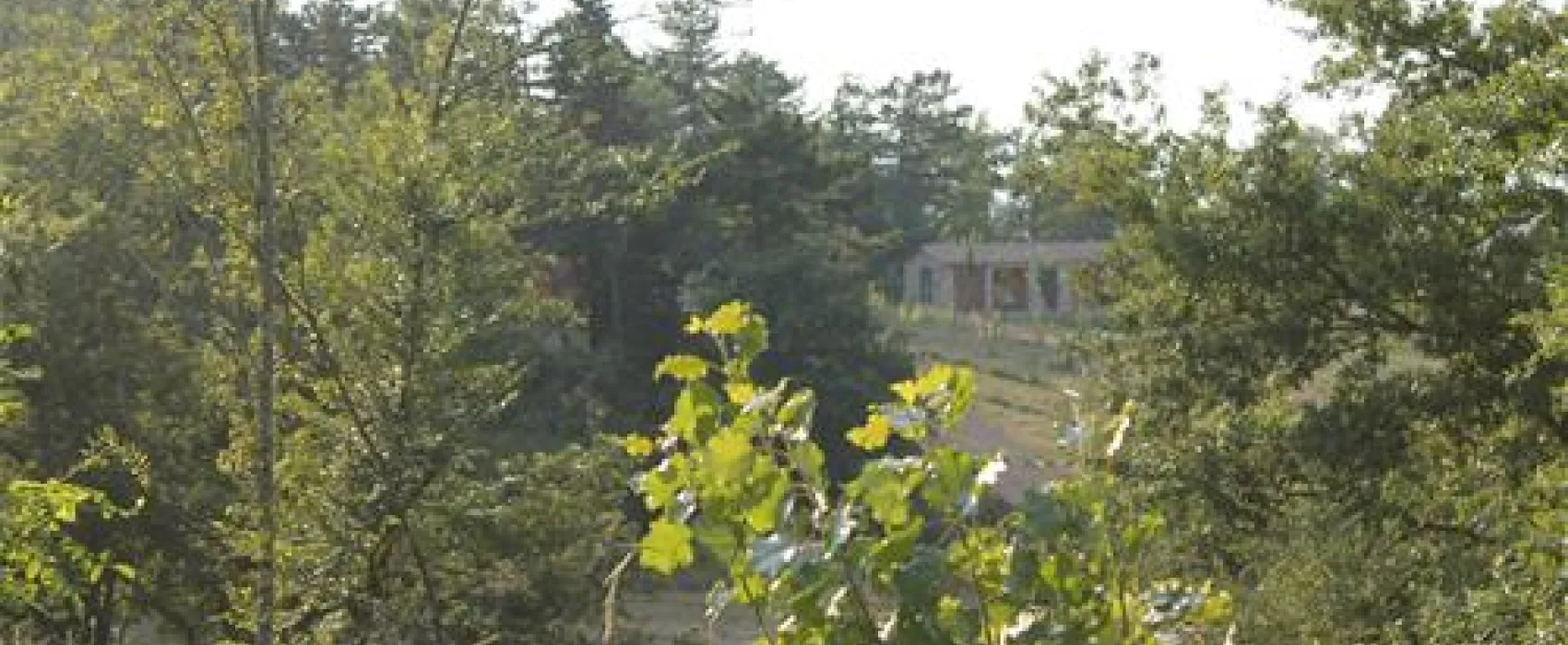 Agricampeggio Madonna di Pogi