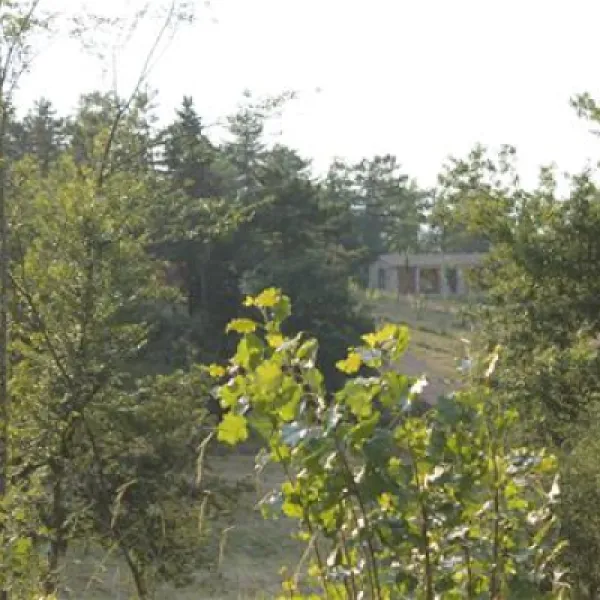 agricampeggio-madonna-di-pogi-bucine-zwwui