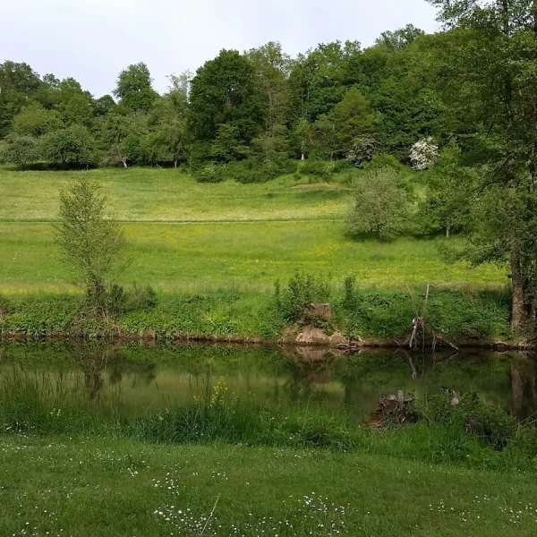 camping-romhle-grfendorf-pawbc