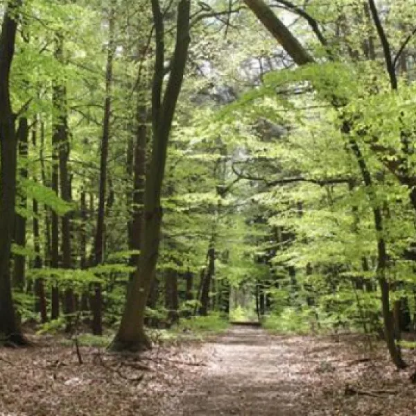 knaus-campingpark-elbtalaue-alt-gargebleckede-xqubh