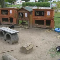 knaus-campingpark-elbtalaue-alt-gargebleckede-zdpd5