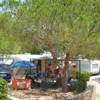 camp-du-domaine-bormes-les-mimosas-rolsm
