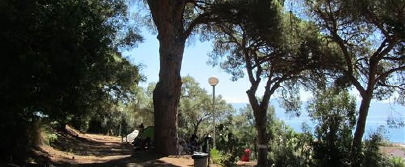 Camping Chateau De Barbicaggia  