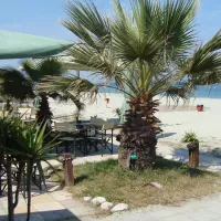 campsite-olympios-zeus-litochoron-l66tf