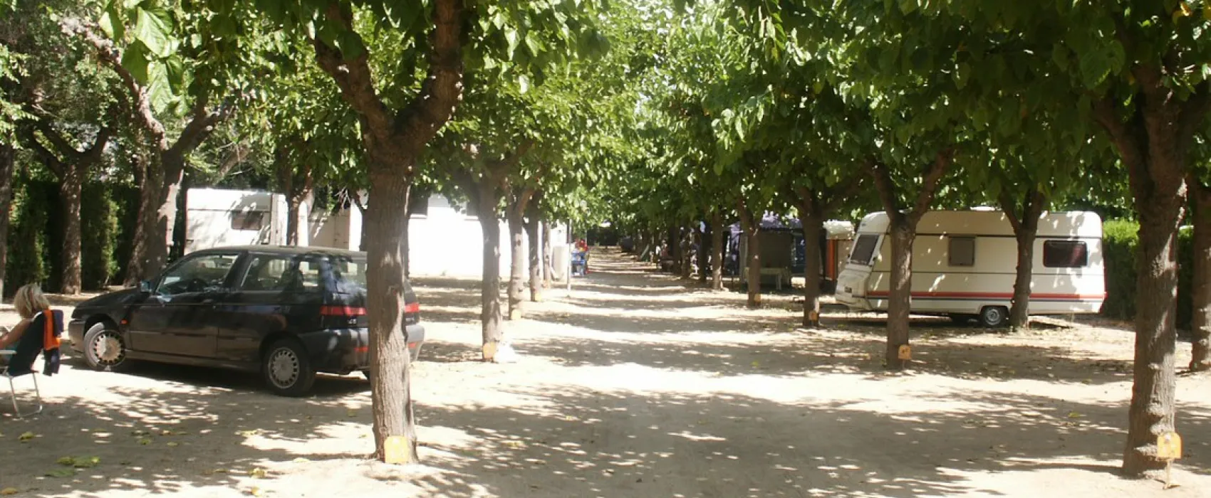 Camping el Camell