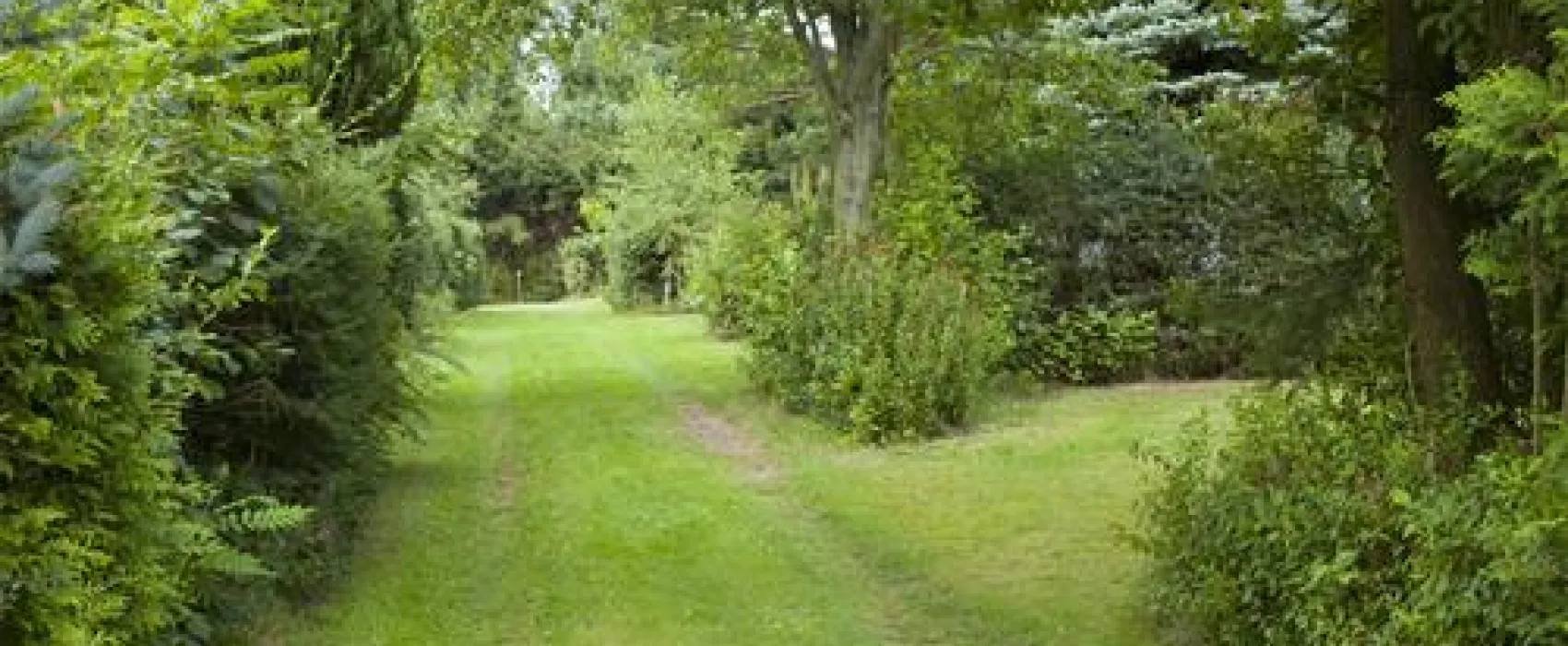 Heidehof Radenbeck - Campingplatz