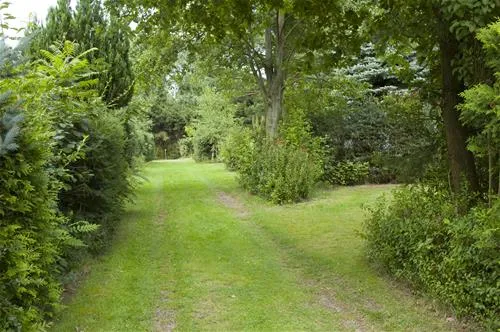 heidehof-radenbeck-campingplatz-thomasburg-ot-radenbeck-bei-lneburg-lvc9x