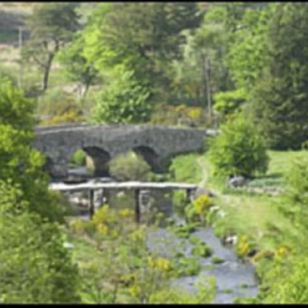 runnage-farm-yelverton-t1uv9