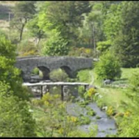 runnage-farm-yelverton-t1uv9