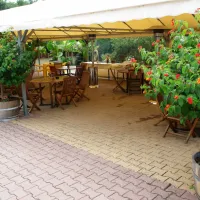 ker-helen-le-teich-gironde-5l3r4