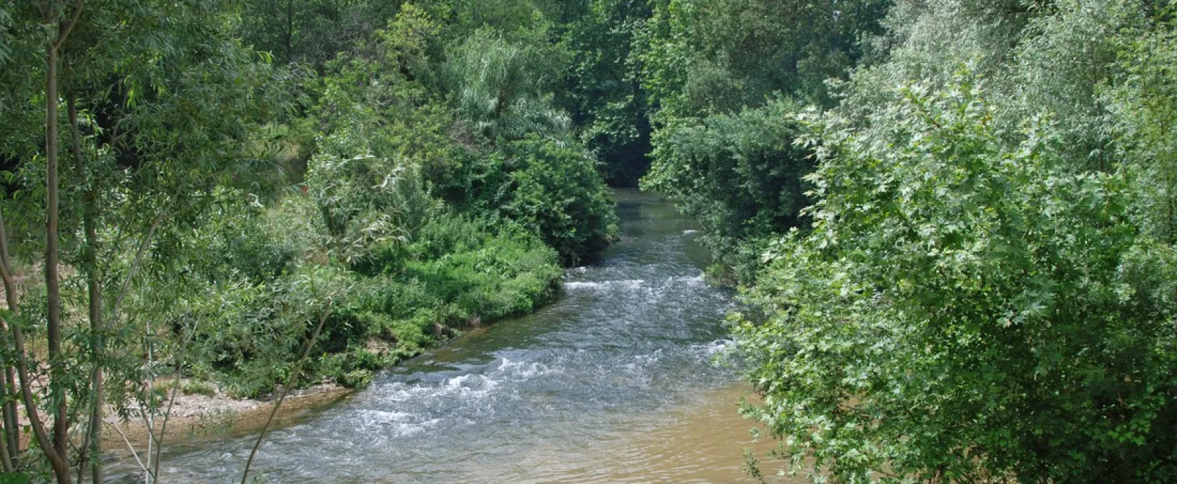 Vert Gapeau
