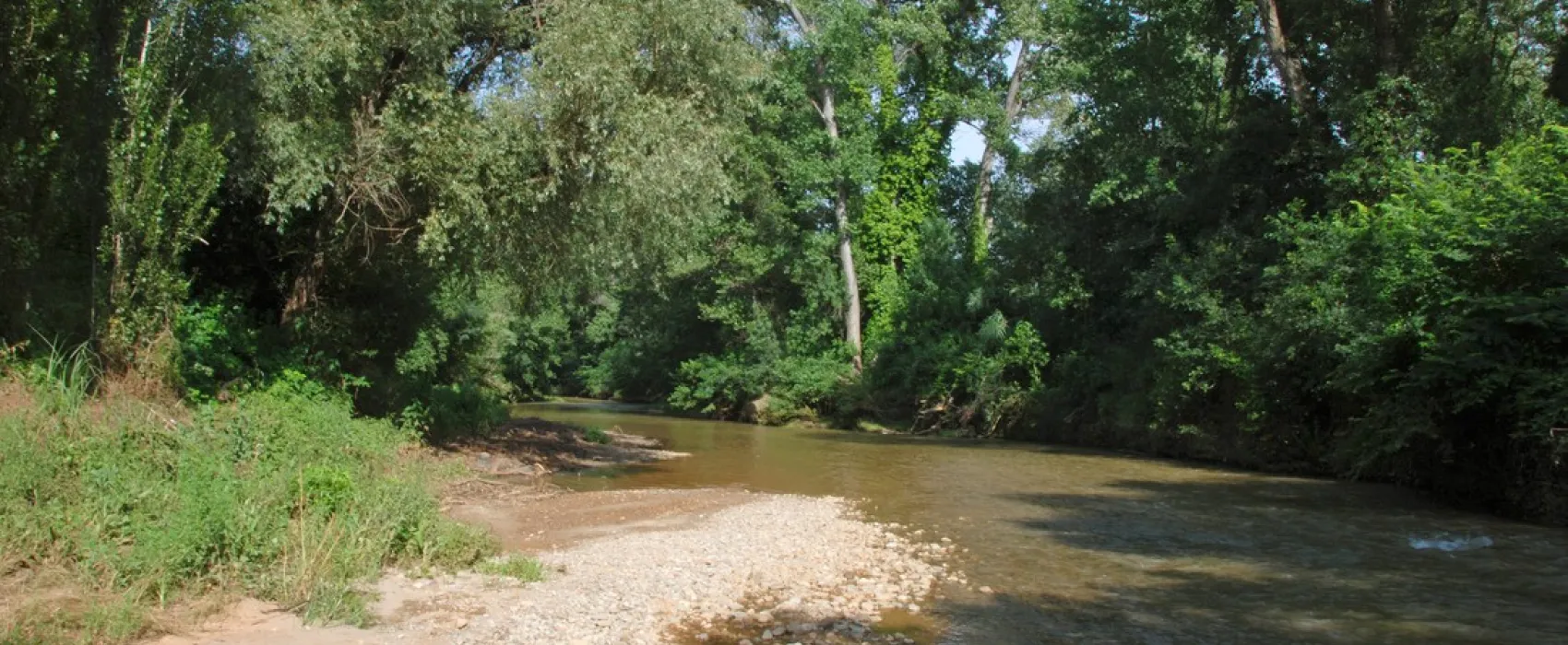 Vert Gapeau